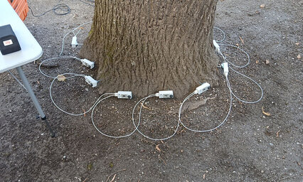 Messsensoren am Baum