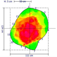 Fachliche Begutachtung