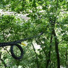 Kronensicherungssysteme